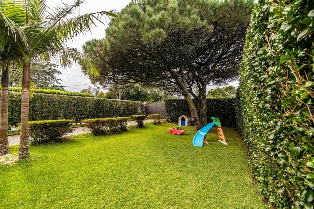 Apartamento Do Pinheiro São Vicente Ferreira Екстериор снимка